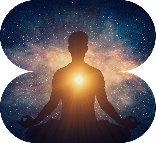 highlight-14-v1_image (1)